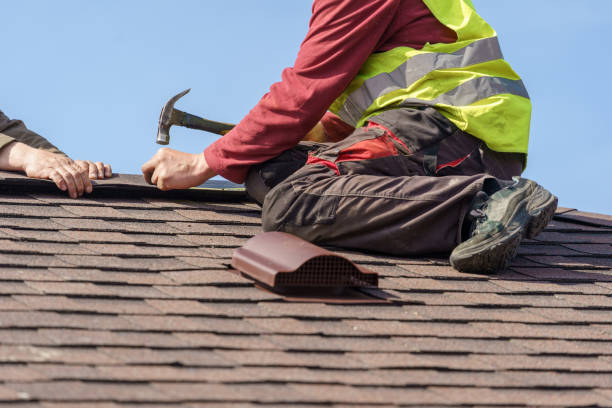 Best Gutter Installation and Roofing  in Zebulon, GA