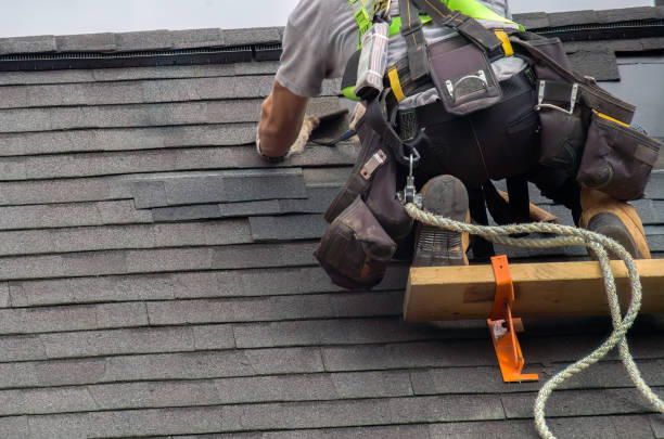 Best Roof Leak Repair  in Zebulon, GA