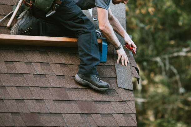Best New Roof Installation  in Zebulon, GA