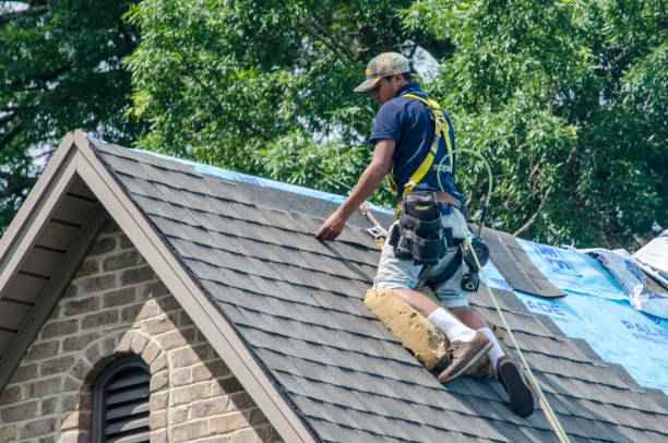 Best Roof Maintenance Services  in Zebulon, GA